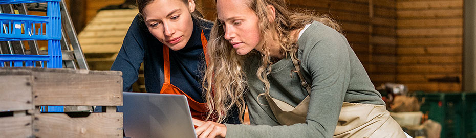 Volksbank Magdeburg Eg Online Banking Firmenkunden